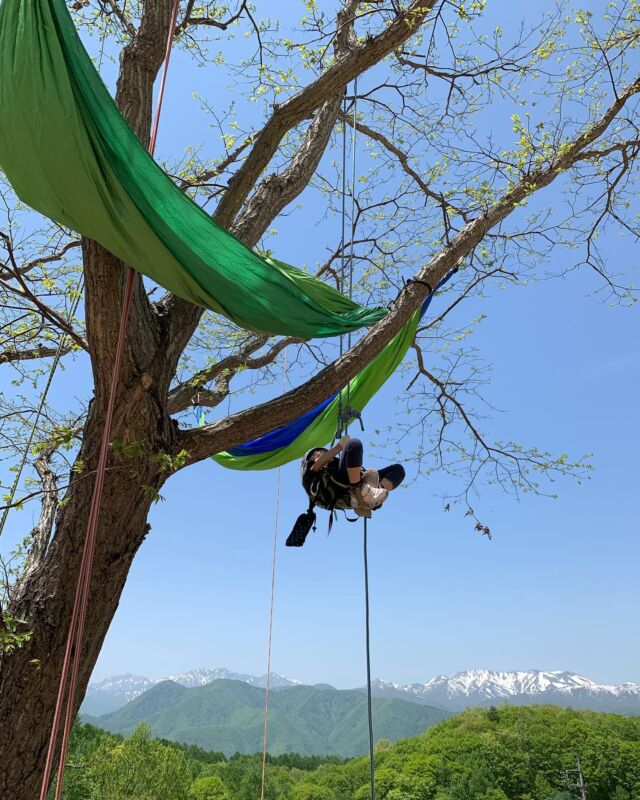 お問い合わせ - 猿山-Monkey Mountain-